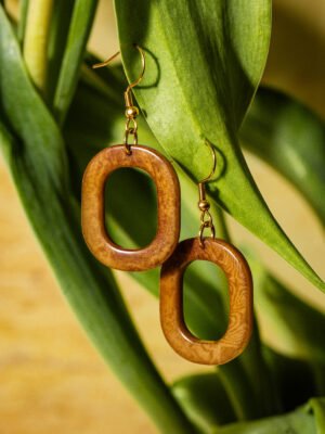 Geometric Brown Circle Earrings
