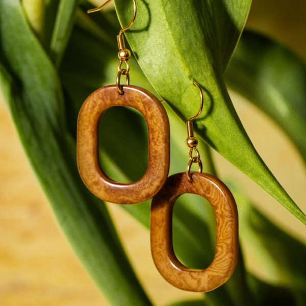 Geometric Brown Circle Earrings